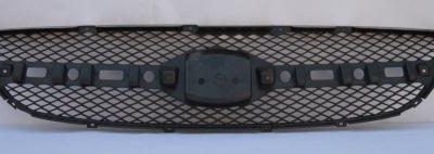 Getz '06 grille mash